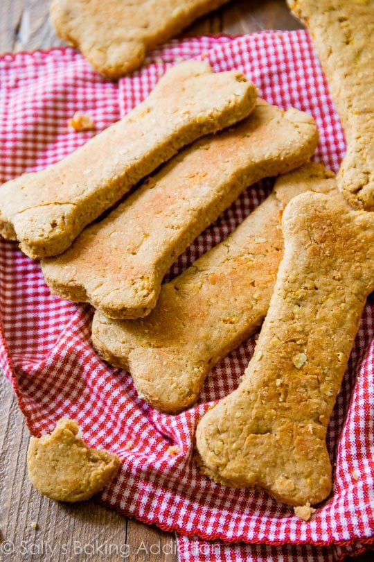 dog treats shaped like bones