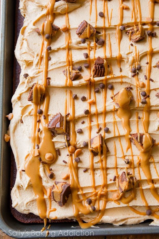 chocolate sheet cake topped with peanut butter frosting, drizzle of melted peanut butter, and peanut butter cups in a baking pan