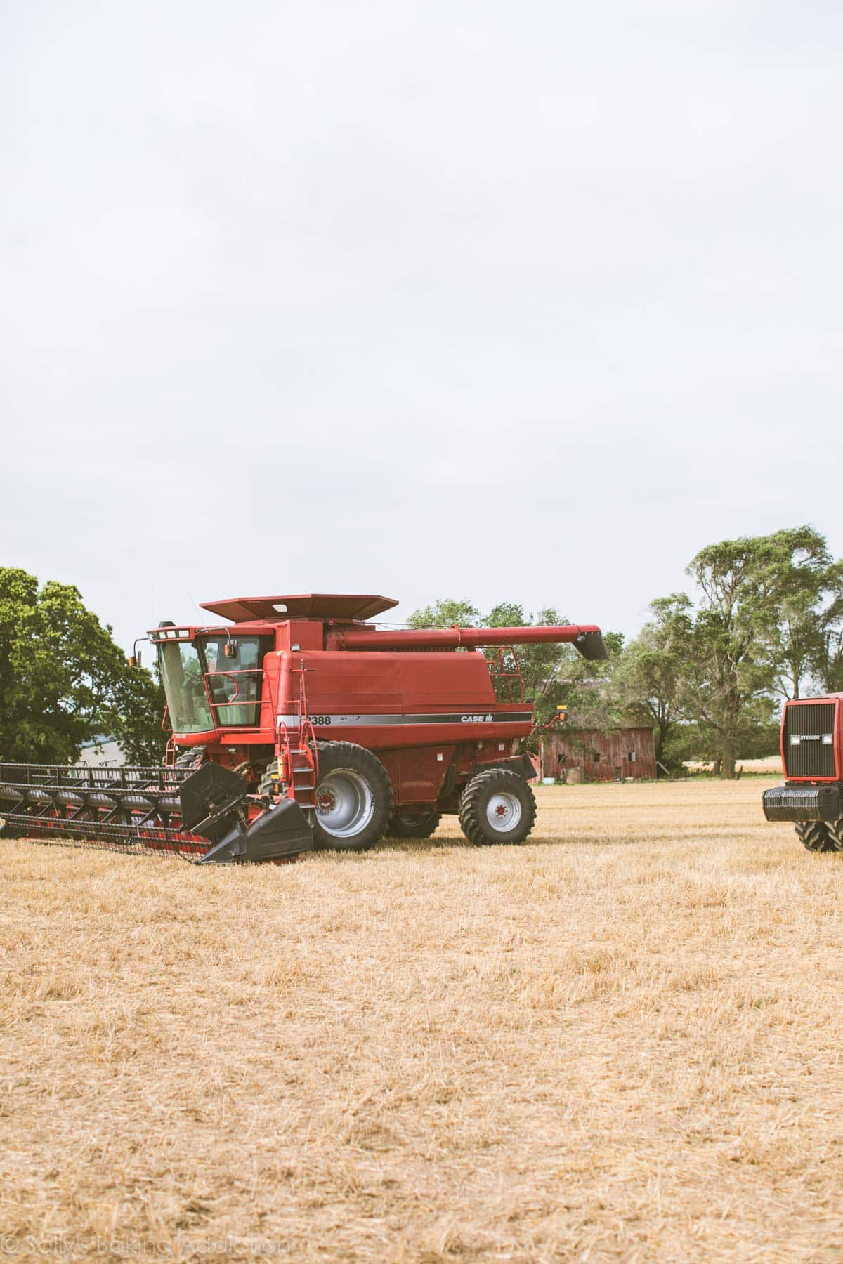 Wheat combine