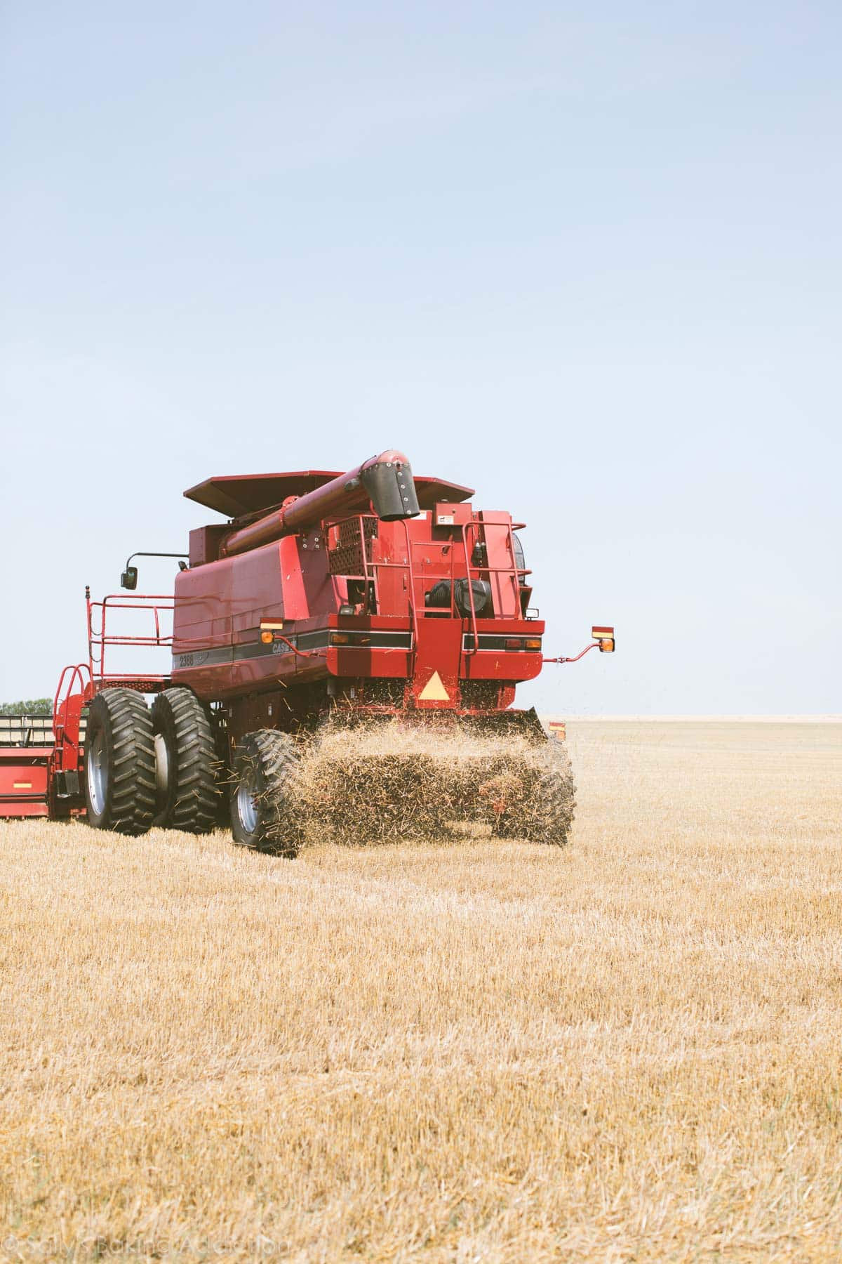 Wheat combine