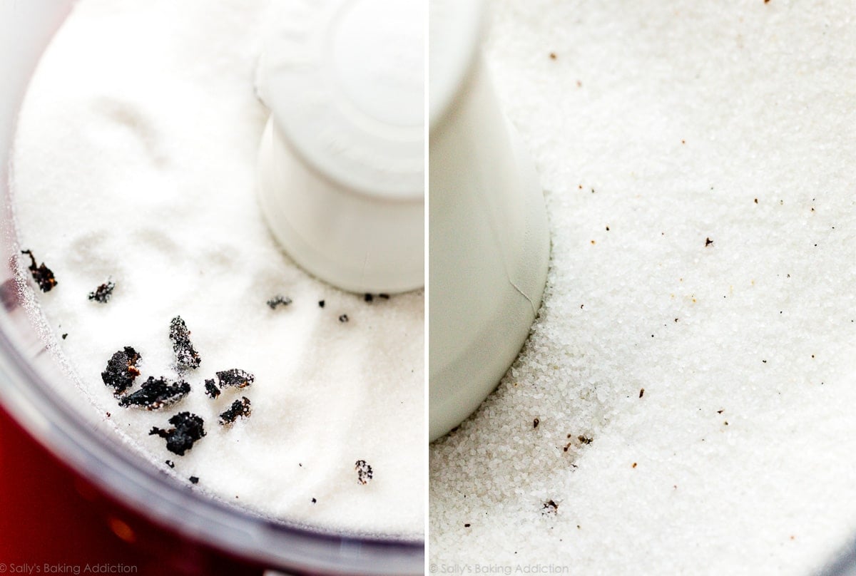 vanilla beans and sugar in a food processor