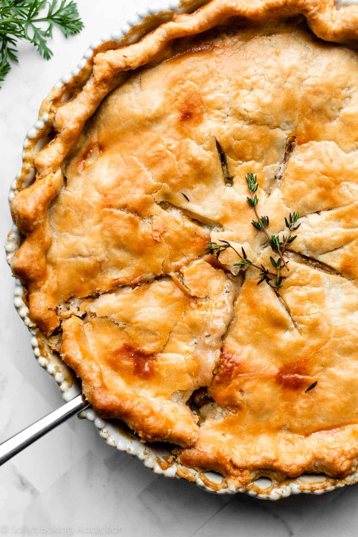 pot pie in white pie dish with thyme on top and slice cut.