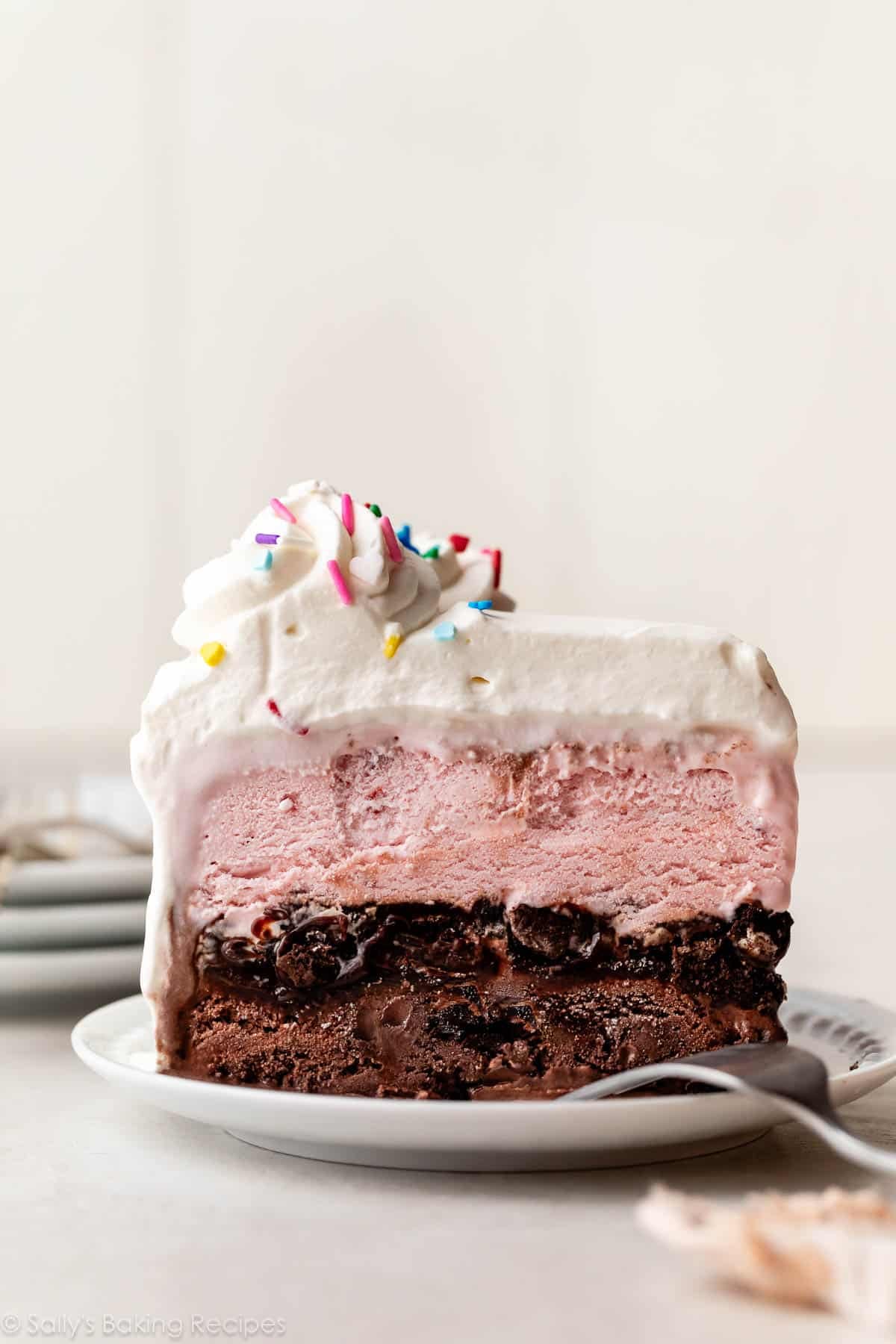 slice of ice cream cake on white plate.
