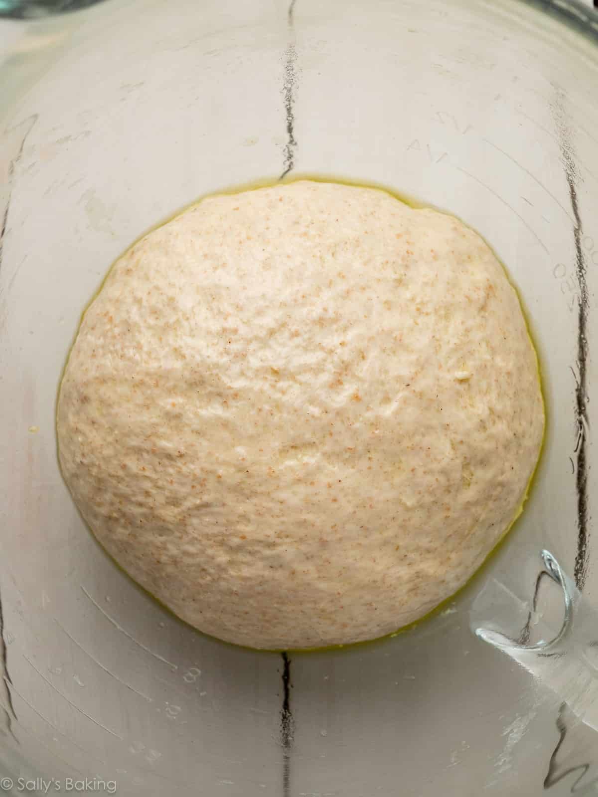 dough in bowl.
