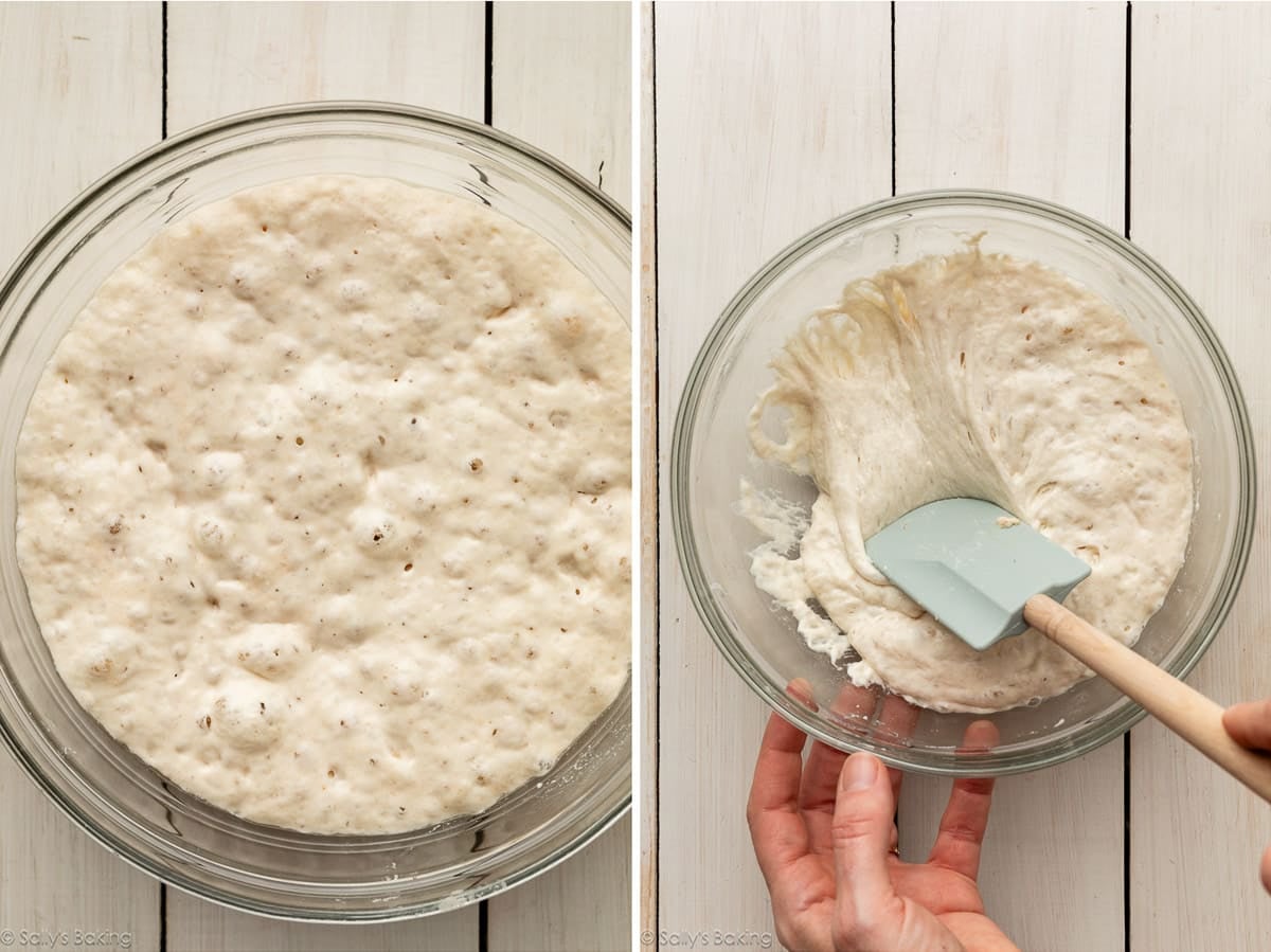 preferment in bowl.