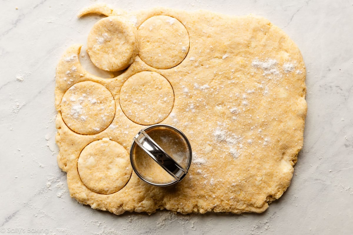 flattened dough being cut with biscuit cutter.